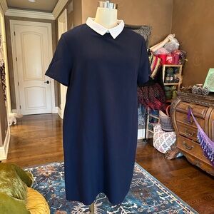 Navy Blue Collared Dress